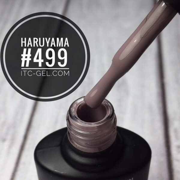 Haruyama laka 499