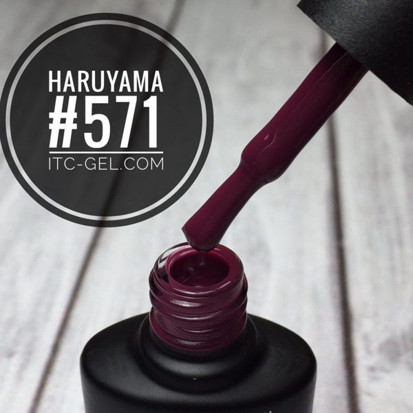 Haruyama laka 571