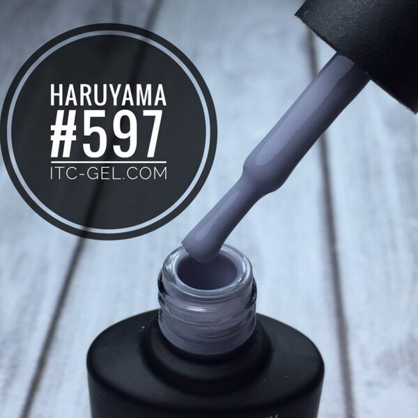 Haruyama laka 597
