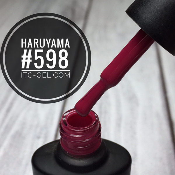 Haruyama laka 598