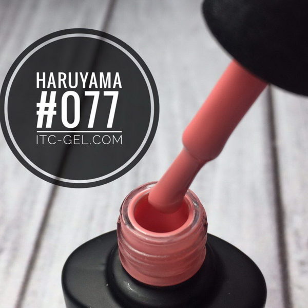 Haruyama laka 077